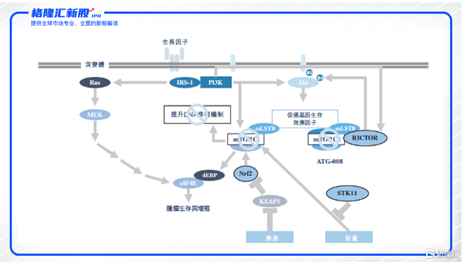 拓益最新用药探索前沿，引领未来医疗发展趋势