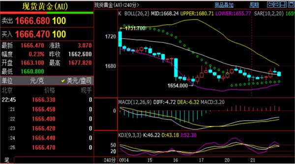 黄金现货实时行情最新分析与展望，市场走势解读及未来展望