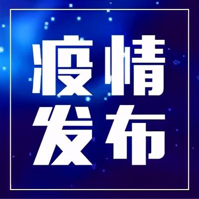 安徼疫情最新动态更新